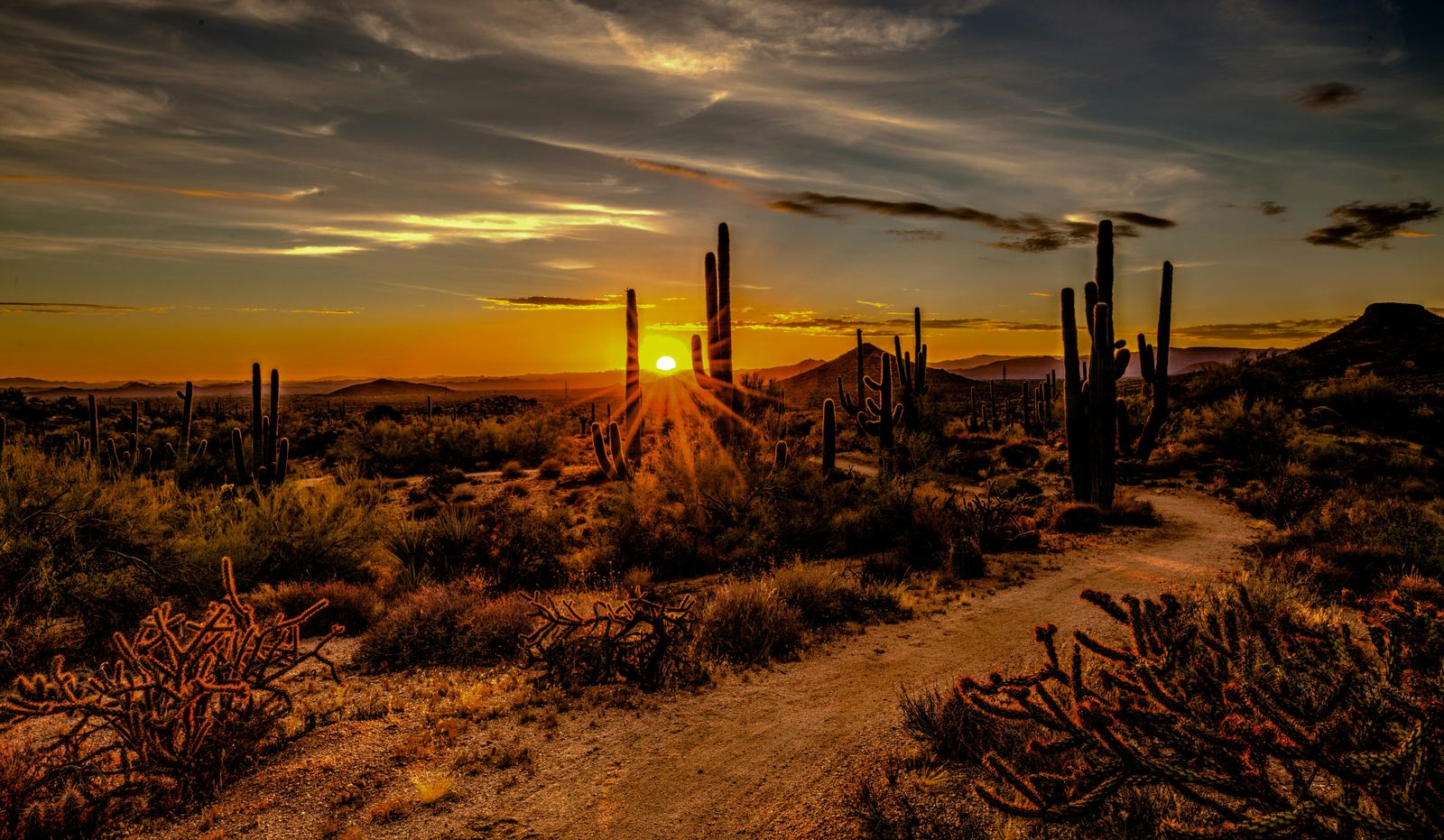 Sonoran Desert trail at sunset in the northwest Valley