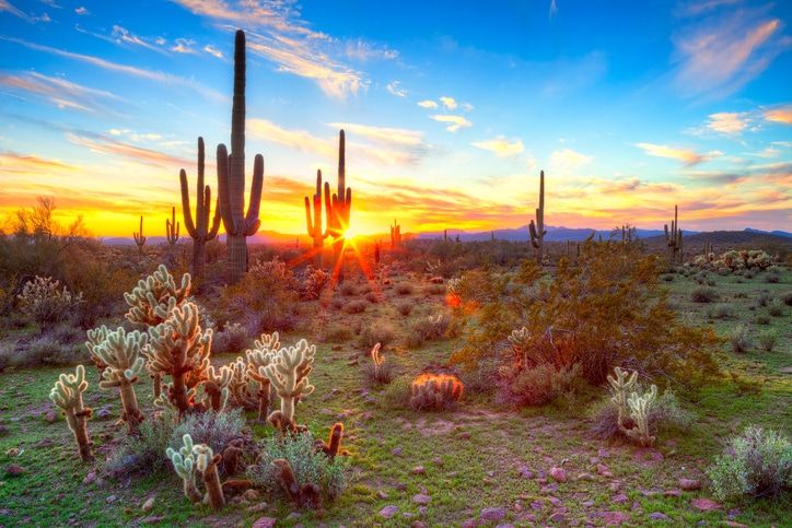55+ Communities Arizona
